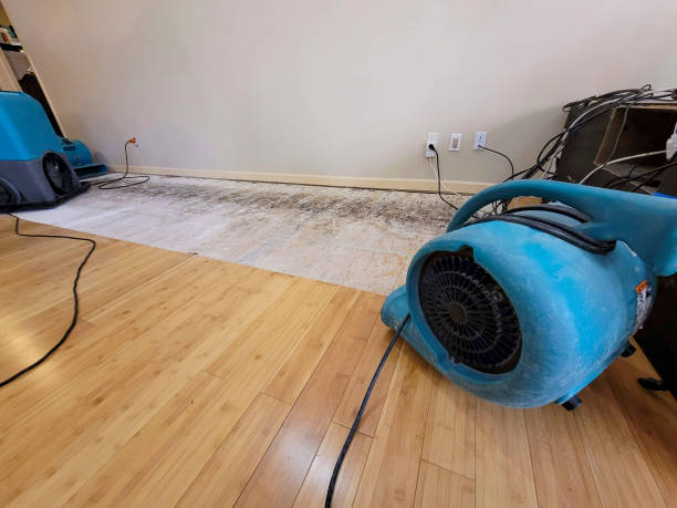 Professional Structural Drying technician working in Summerville, GA